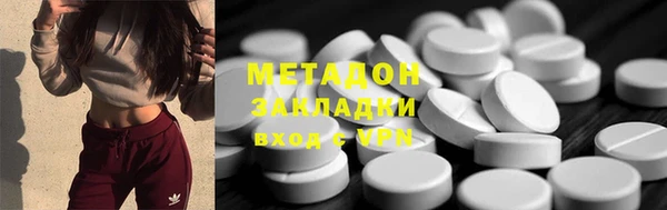 индика Алексин