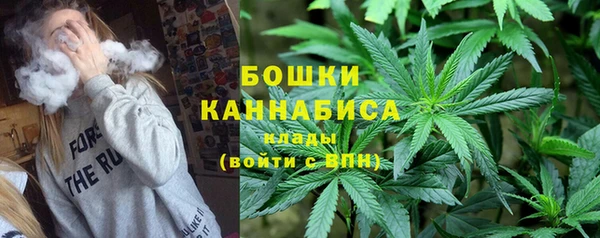 эйфоретик Арсеньев