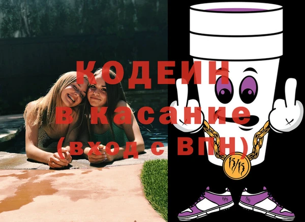 индика Алексин