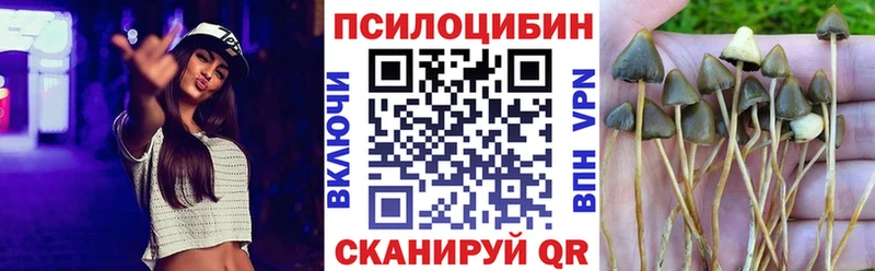 цены Верхняя Салда Псилоцибиновые грибы ЛСД